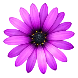 Description de l'image TextmateIcon.png.