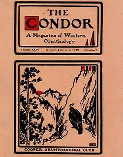 Image illustrative de l’article The Condor