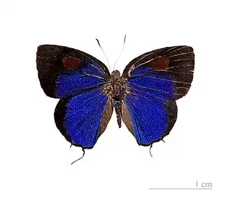 Description de cette image, également commentée ci-après