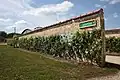 Mur à vigne du jardin Salomon.