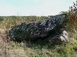 Dolmen de Margot, la Pierre levée.