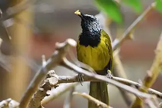 Description de cette image, également commentée ci-après