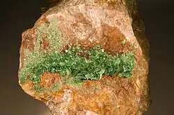 Torbernite - Loire, France (10,5&nbsp;×&nbsp;8,5&nbsp;cm)