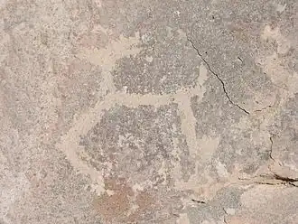 Image illustrative de l’article Toro Muerto