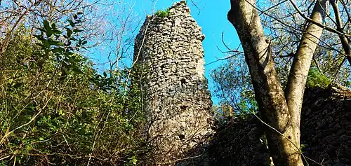 Les vestiges d'une tour.