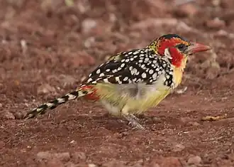 Description de cette image, également commentée ci-après