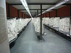 Exposition des 125 moulages de plâtres au musée de la Civilisation romaine.