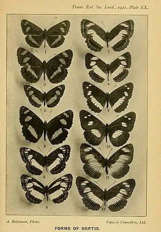 Description de l'image TransEntSocLond1921Plate20.jpg.
