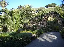 L'arc du mur du monastère médiéval dans les jardins de l'abbaye de Tresco.