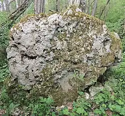 Image illustrative de l’article Menhir de la Roche à Blin