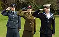 Personnels de la Royal Air Force, la British Army et la Royal Navy saluant.