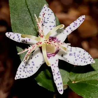 Description de cette image, également commentée ci-après