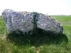 Dolmen du Bourg Neuf.
