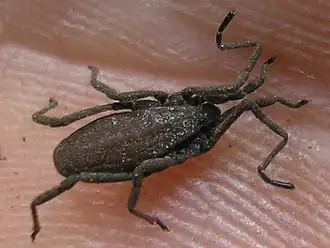 Description de cette image, également commentée ci-après