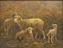 Troupeau de moutons avec poule