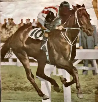 Image illustrative de l’article Tulloch