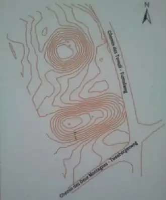 Image illustrative de l’article Tumuli de la Forêt de Soignes