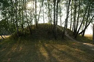 Tumulus de la culture de Przeworsk près de Przeworsk (Pologne).