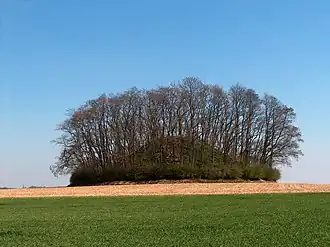 Tumulus d'Hottomont.
