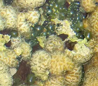 Description de cette image, également commentée ci-après