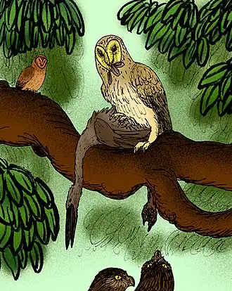 Description de cette image, également commentée ci-après