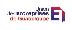 UDE MEDEF GUADELOUPE LOGO