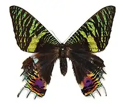 Description de l'image UIB - 5447.jpg.