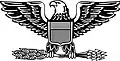 Insigne de colonel de l'US Air Force, l'US Army et du Marine Corps