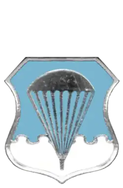 Air Force Basic Parachutist Badge
