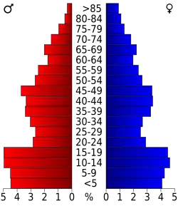Schéma représentant la population du comté, par tranche d'âge. En rouge, à gauche, les femmes, en bleu à droite, les hommes.