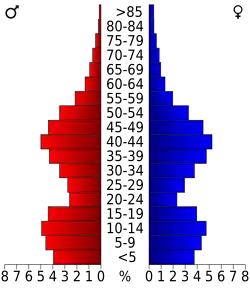 Schéma représentant la population du comté, par tranche d'âge. En rouge, à gauche, les femmes, en bleu à droite, les hommes.