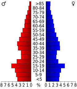 Schéma représentant la population du comté, par tranche d'âge. En rouge, à gauche, les femmes, en bleu à droite, les hommes.