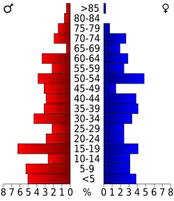 Schéma représentant la population du comté, par tranche d'âge. En rouge, à gauche, les femmes, en bleu à droite, les hommes.
