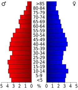 Schéma représentant la population du comté, par tranche d'âge. En rouge, à gauche, les femmes, en bleu à droite, les hommes.