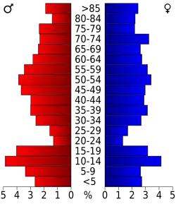 Schéma représentant la population du comté, par tranche d'âge. En rouge, à gauche, les femmes, en bleu à droite, les hommes.
