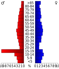 Schéma représentant la population du comté, par tranche d'âge. En rouge, à gauche, les femmes, en bleu à droite, les hommes.