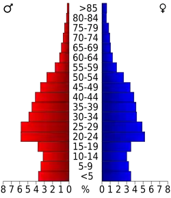 Schéma représentant la population du comté, par tranche d'âge. En rouge, à gauche, les femmes, en bleu à droite, les hommes.