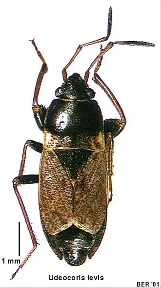 Description de cette image, également commentée ci-après