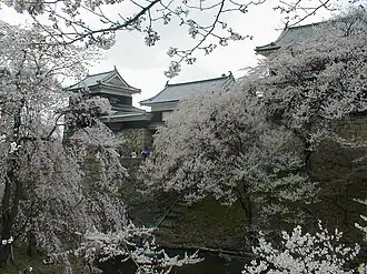 Image illustrative de l’article Château d'Ueda