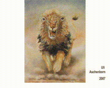 Vidéo a : Lion attaquant sous le coucher du soleil ou non?, les couleurs changent quand le spectateur se déplace, technique « caméléon » (art cinétique), 2007, 100 × 80&nbsp;cm