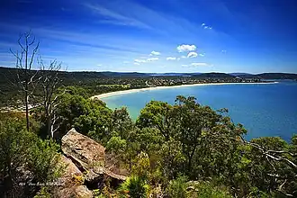 Côte centrale (Nouvelle-Galles du Sud)