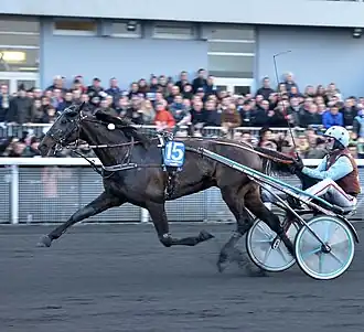 Image illustrative de l’article Up and Quick