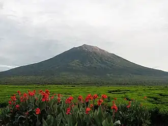 Vue du Kerinci.