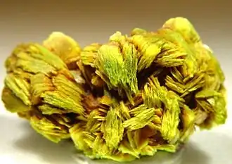 Image illustrative de l’article Uranocircite