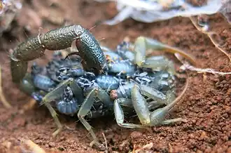 Description de cette image, également commentée ci-après