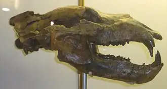 Description de cette image, également commentée ci-après