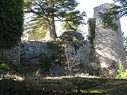 Le château médiéval du XIIIe&nbsp;siècle.