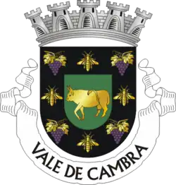 Blason de Vale de Cambra