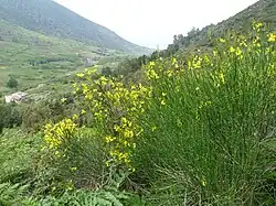 Valdichiesa : à droite le Monte Fossa delle Felci, à gauche le Monte dei Porri.