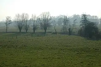 La vallée des deux Honnelles depuis le Bois.